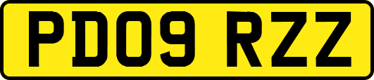 PD09RZZ
