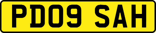 PD09SAH