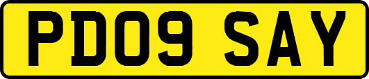 PD09SAY