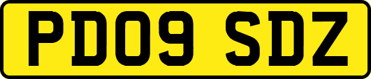 PD09SDZ