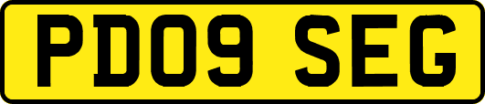 PD09SEG