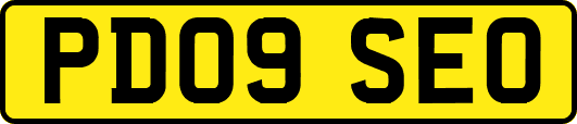 PD09SEO