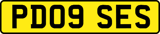 PD09SES