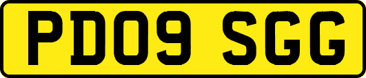 PD09SGG