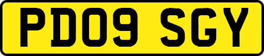 PD09SGY