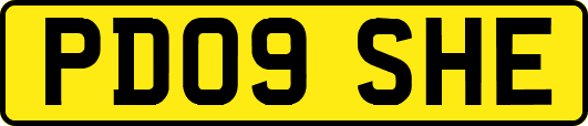 PD09SHE