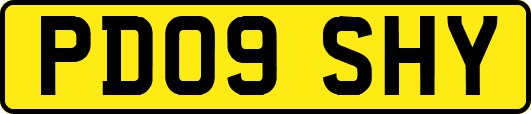 PD09SHY