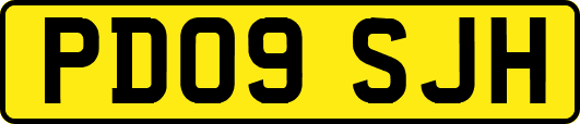 PD09SJH