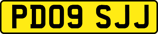 PD09SJJ
