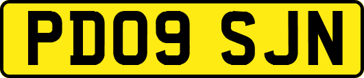 PD09SJN