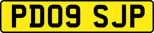 PD09SJP