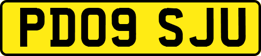 PD09SJU