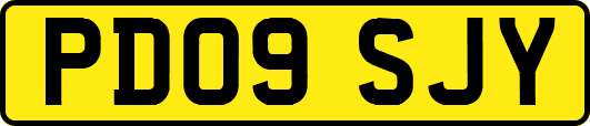PD09SJY