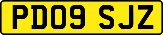 PD09SJZ