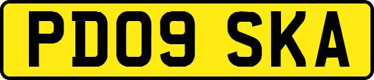PD09SKA