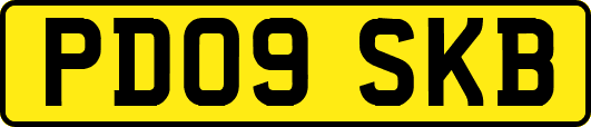 PD09SKB