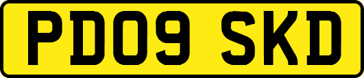 PD09SKD