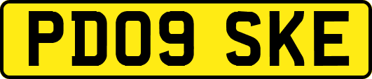 PD09SKE