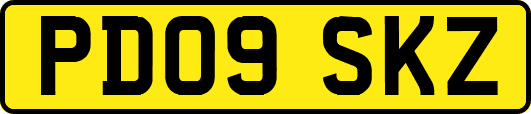 PD09SKZ