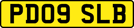 PD09SLB