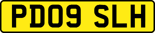PD09SLH