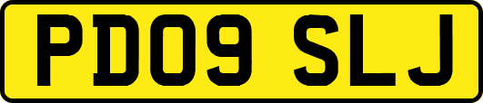 PD09SLJ