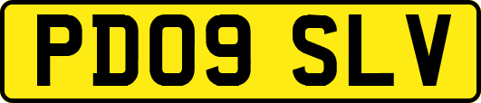 PD09SLV