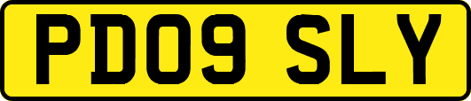 PD09SLY