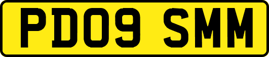 PD09SMM