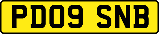 PD09SNB