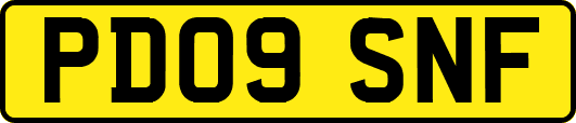 PD09SNF