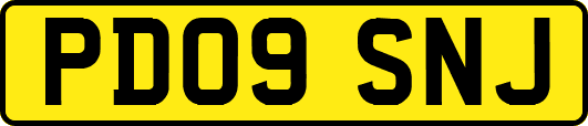 PD09SNJ