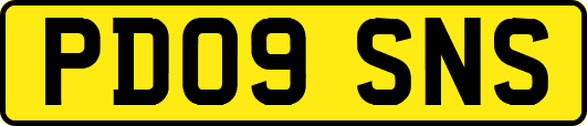 PD09SNS