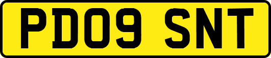 PD09SNT