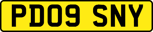 PD09SNY