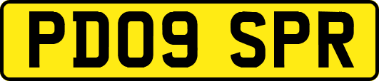 PD09SPR