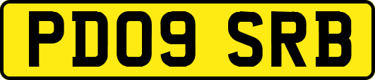 PD09SRB
