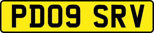 PD09SRV