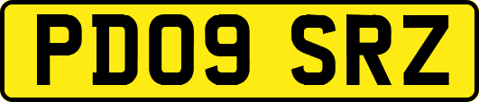 PD09SRZ