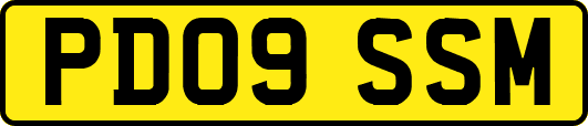 PD09SSM