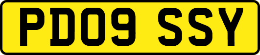 PD09SSY