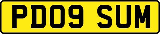 PD09SUM