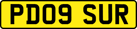 PD09SUR