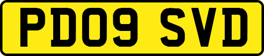 PD09SVD