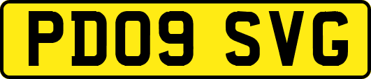 PD09SVG