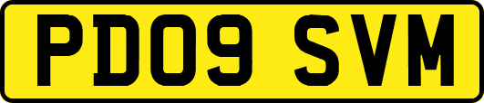 PD09SVM