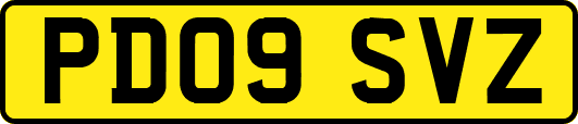 PD09SVZ