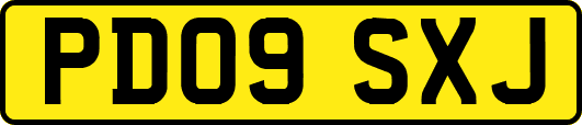 PD09SXJ