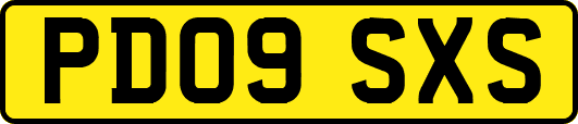 PD09SXS