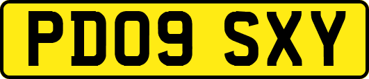 PD09SXY